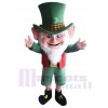 Leprechaun mascot costume