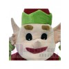 Elf mascot costume