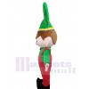 Elf mascot costume