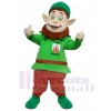 Leprechaun mascot costume