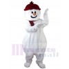 Snowman mascot costume