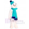 Snowman mascot costume