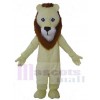 Lion mascot costume