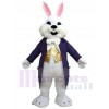 Easter Bunny mascot costume