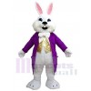 Easter Bunny mascot costume