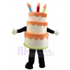 Cake mascot costume