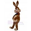 Rabbit mascot costume