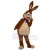 Rabbit mascot costume