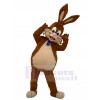 Rabbit mascot costume