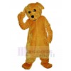 Dog mascot costume