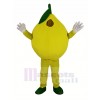 Yellow Lemon Mascot Costume