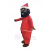 Man mascot costume