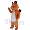 Squirrel mascot costume