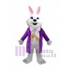Easter Bunny Rabbit mascot costume