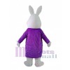 Easter Bunny Rabbit mascot costume