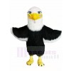 White Head Bald Eagle Falcon Mascot Costumes Animal