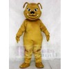 Brown Bulldog Animal Mascot Costumes