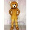 Brown Teddy Bear Mascot Costumes Animal