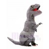 Grey Gray T-REX Dinosaur Inflatable Halloween Christmas Costumes for Kids