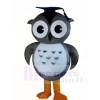 Gray Doctor Owl Mascot Costumes with Cap Animal