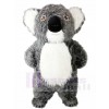 Grey Koala Bear Mascot Costumes Animal 