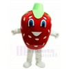 Strawberry Mascot Costumes Fruit Food Plant