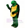 Pond Turtle Mascot Costume