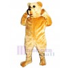 Cute Bruce Bear Mascot Costume
