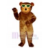New Bear with Sunglasses Mascot Costume