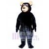 New Black Bear Mascot Costume