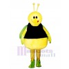 Fat Bug Mascot Costume