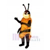 Randy Roach Cockroach Mascot Costume
