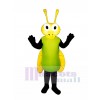 Fairy Fly Mascot Costume