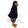 Cute Blackbird Mascot Costume