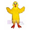 Cute Bird Feathers Mascot Costume