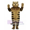 Cute Growly Alley Cat Mascot Costume