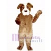 Cute St. Bernard Dog Mascot Costume