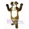 Cute St. Bernard Dog with Barrel Mascot Costume