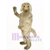 Cute Afghan Dog Mascot Costume