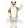 Cute Siberian Husky Dog Mascot Costume