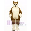 Cute Brown Husky Dog Mascot Costume