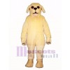 Cute Golden Lab Dog Mascot Costume