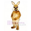 Cute Easter Brown Bunny Rabbit Mascot Costume