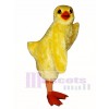 Cute Chick Mascot Costume