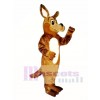 Cute Kody Koyote Coyote Wolf Mascot Costume