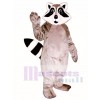 Little Raccoon Mascot Costume