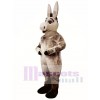Donald Donkey Mascot Costume