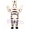 Baby Zebra Mascot Costume
