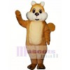 Chubby Squirrel Mascot Costume