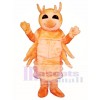 Cute Shrimp Mascot Costume